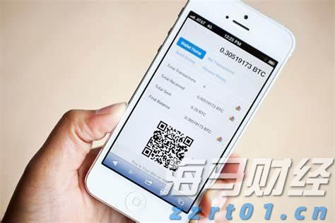 湛江钢铁零碳项目两大核心设备成功吊装就位