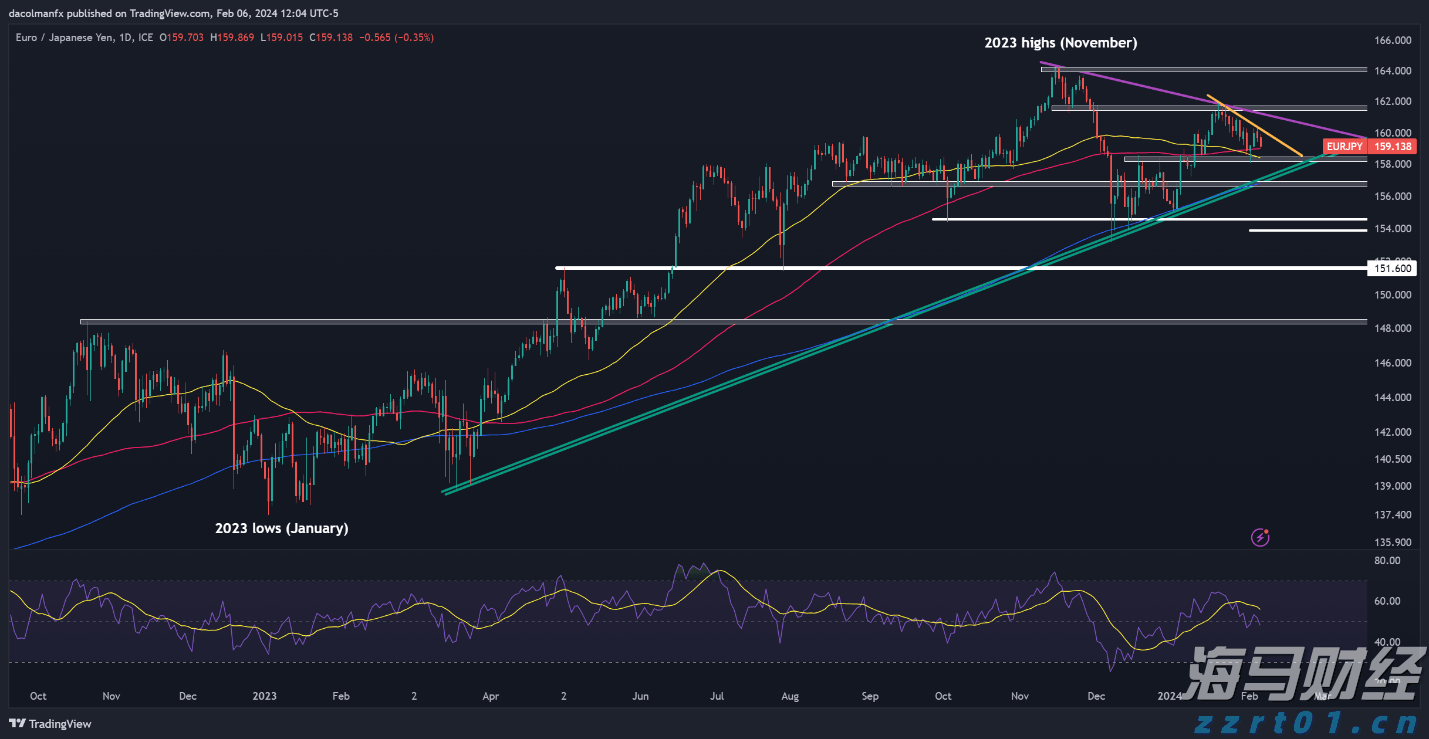 解锁新市场！梅州观赏鱼 “游” 进马来西亚