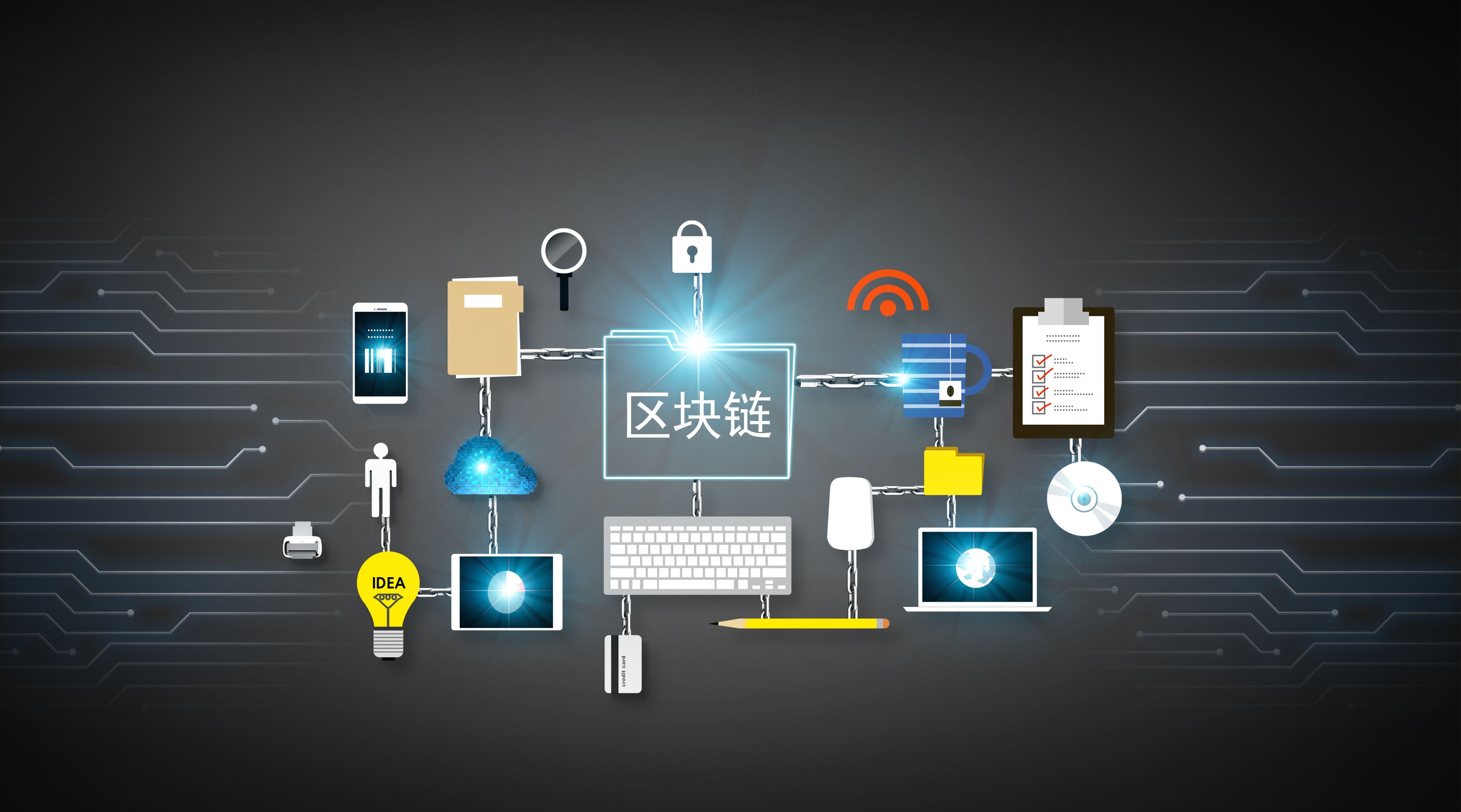 岭师健儿闪耀省大运会赛场